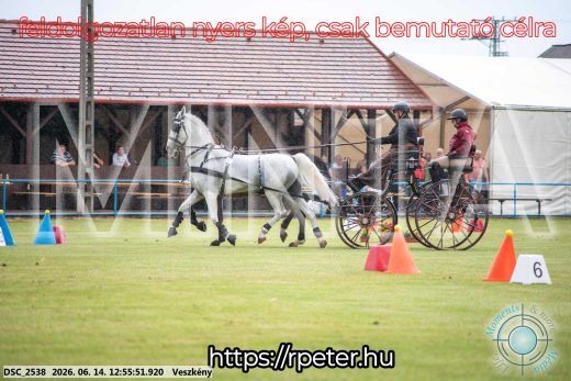 Mintakép 20260614-441