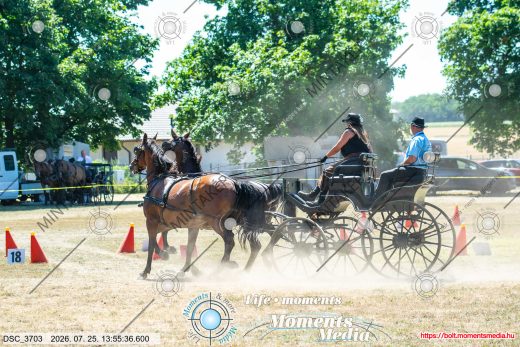 Mintakép 20260725-629