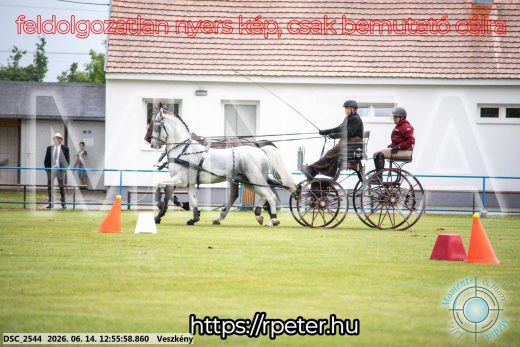 Mintakép 20260614-445