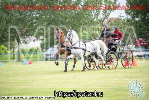 Mintakép 20260614-448