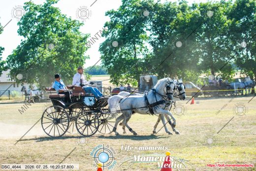 Mintakép 20260725-705