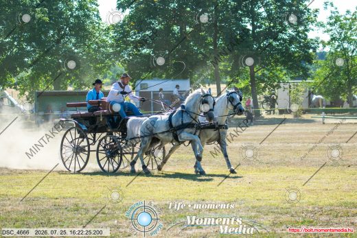 Mintakép 20260725-719