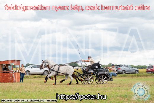 Mintakép 20260613-38