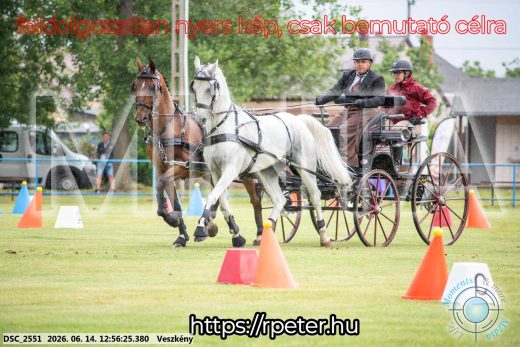 Mintakép 20260614-452