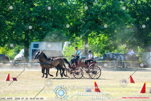 Mintakép 20260725-748