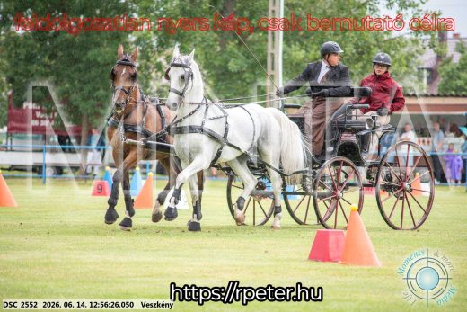 Mintakép 20260614-453