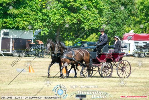 20260725-092909-DSC_2065.jpg