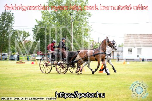 Mintakép 20260614-455