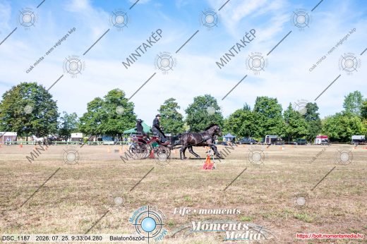 Mintakép 20260725-777