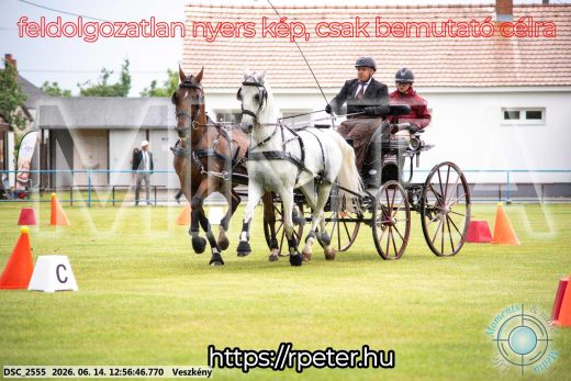 Mintakép 20260614-456
