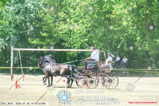 Mintakép 20260725-779