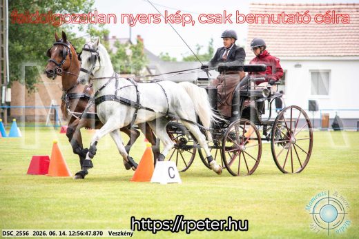Mintakép 20260614-457