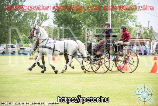 Mintakép 20260614-458