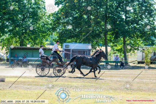 Mintakép 20260725-800