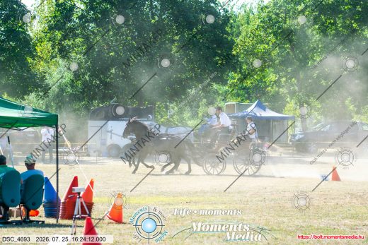 Mintakép 20260725-801