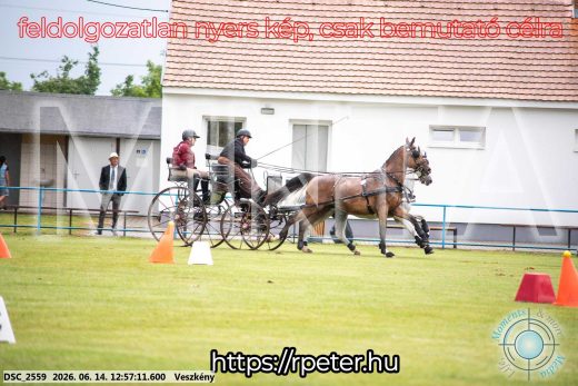 Mintakép 20260614-459