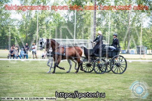 20260612-112306-DSC_8874.jpg