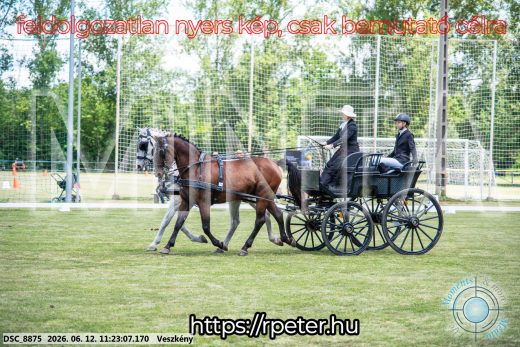 Mintakép 20260612-606