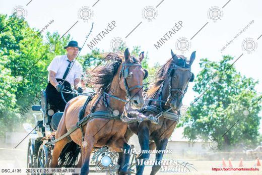 Mintakép 20260725-851