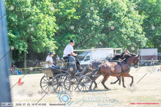 Mintakép 20260725-865