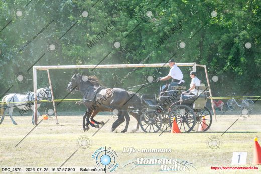 Mintakép 20260725-870