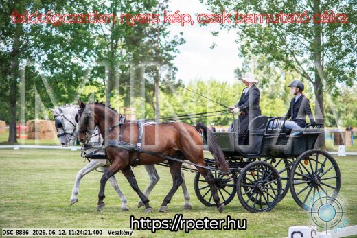 Mintakép 20260612-609