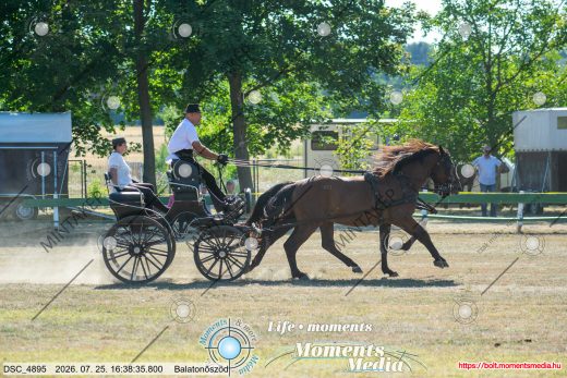 Mintakép 20260725-882