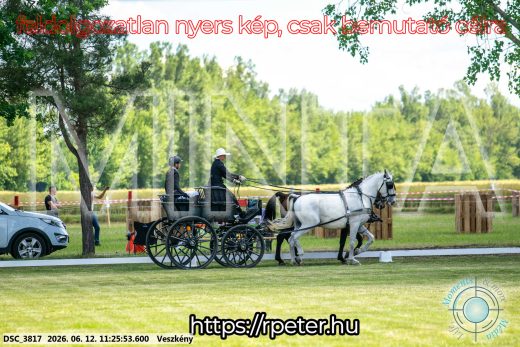 Mintakép 20260612-613