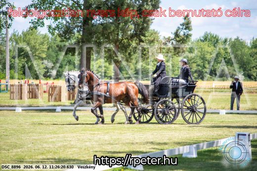 Mintakép 20260612-615