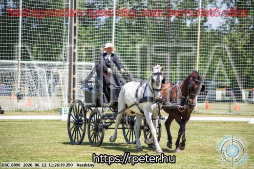 Mintakép 20260612-617