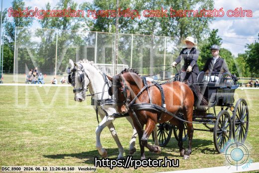 Mintakép 20260612-618