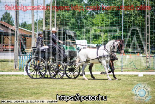 Mintakép 20260612-619