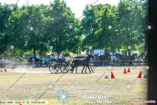 Mintakép 20260725-985