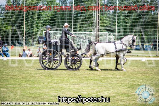 Mintakép 20260612-620