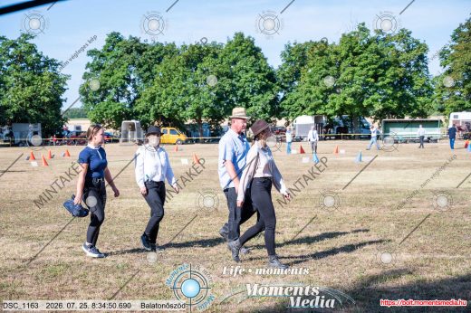 Mintakép 20260725-996