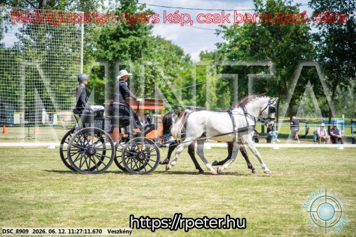 Mintakép 20260612-621