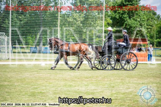 Mintakép 20260612-622