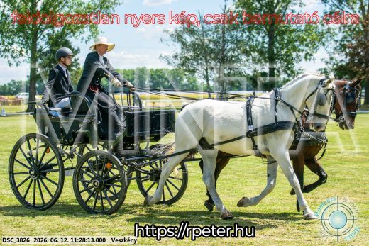 Mintakép 20260612-624