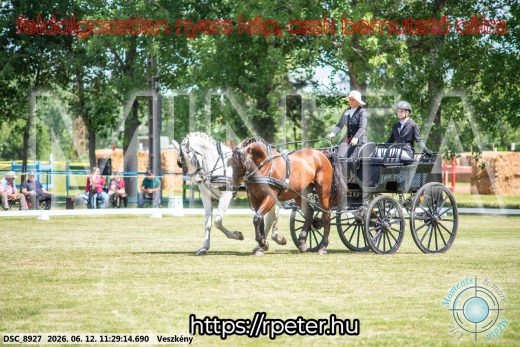 Mintakép 20260612-625