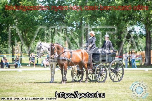 Mintakép 20260612-626
