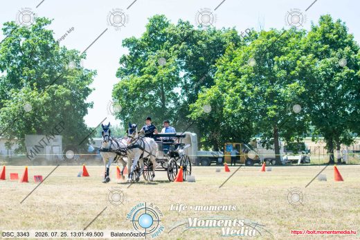Mintakép 20260725-1077