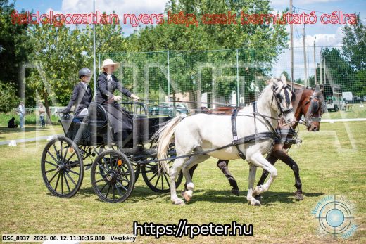 Mintakép 20260612-629
