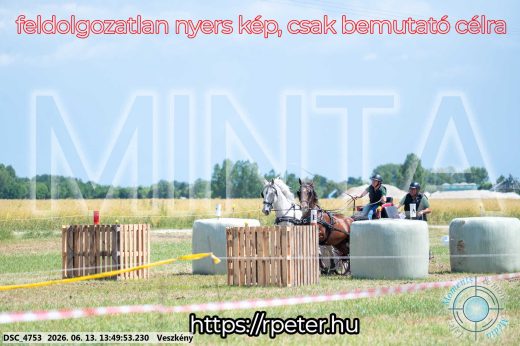 Mintakép 20260613-1217