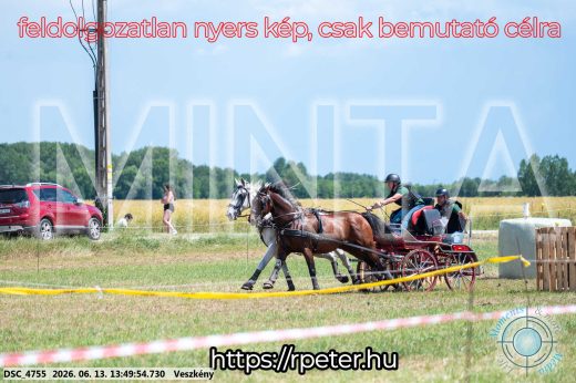 Mintakép 20260613-1219