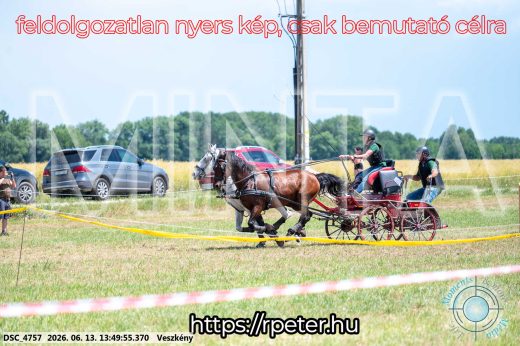 Mintakép 20260613-1221