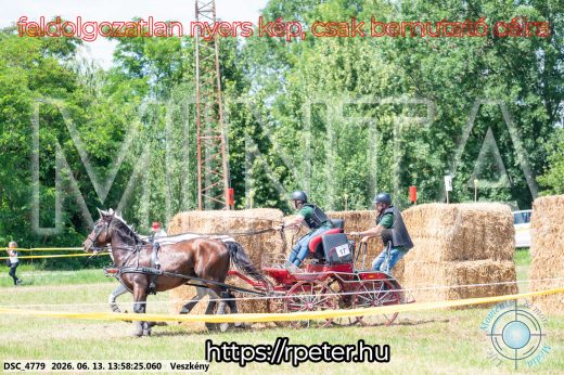 Mintakép 20260613-1223