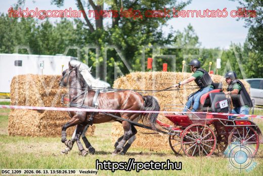 Mintakép 20260613-1224