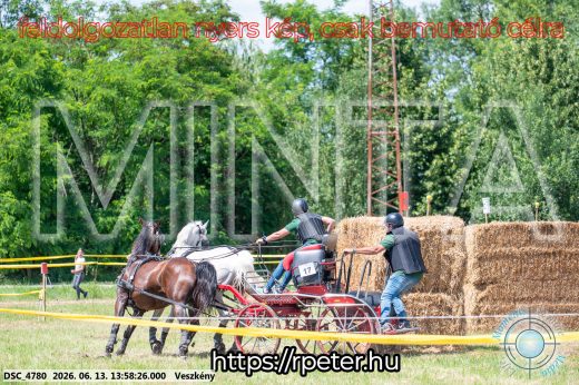 Mintakép 20260613-1225