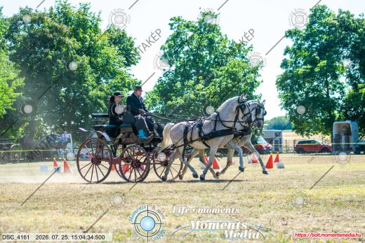 Mintakép 20260725-1193