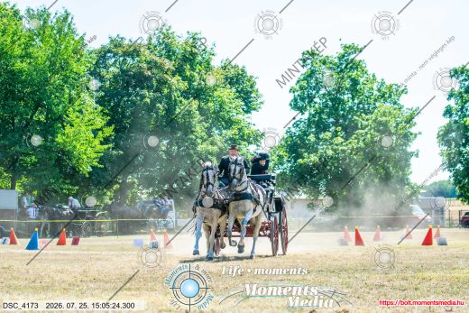 Mintakép 20260725-1198
